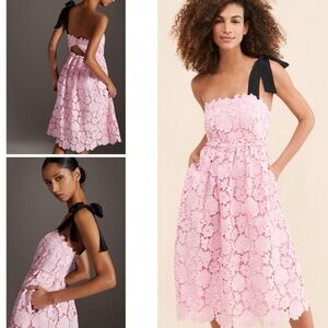 NWT Anthropologie Pink Lace Dress with Black Bow